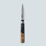 Aiko zwart Damascus stalen mes met gekleurd zwart harshandvat