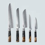 Aiko zwart Damascus stalen mes met gekleurd zwart harshandvat