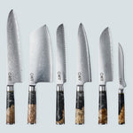 Aiko zwart Damascus stalen mes met gekleurd zwart harshandvat