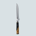 Aiko zwart Damascus stalen mes met gekleurd zwart harshandvat