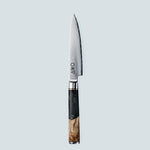 Aiko zwart Damascus stalen mes met gekleurd zwart harshandvat